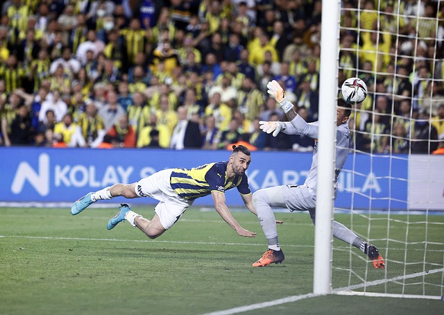 至关重要 至关重要