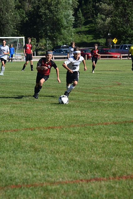 体育教育需 体育教育需