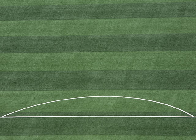 支不可忽视 支不可忽视