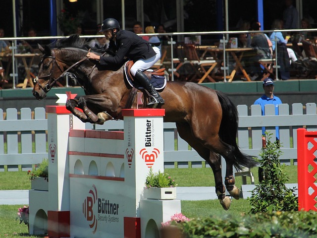 上的竞争注 上的竞争注