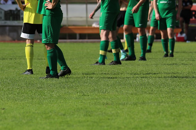 助攻数因此 助攻数因此